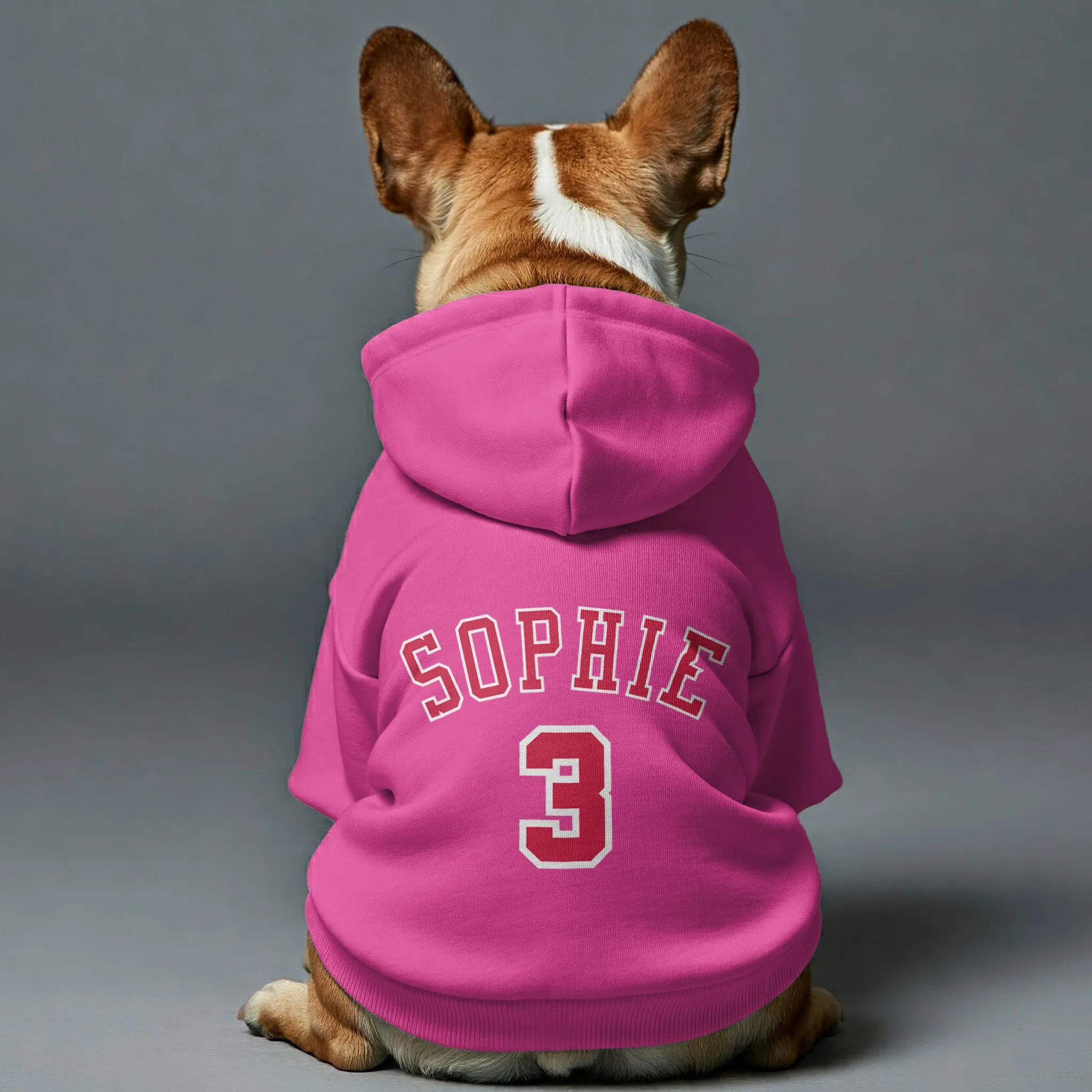 Frenchie Bulls - Personalized French Bulldog Hoodies with Custom Name and Number – Stylish, Cozy, and Premium 100% Cotton