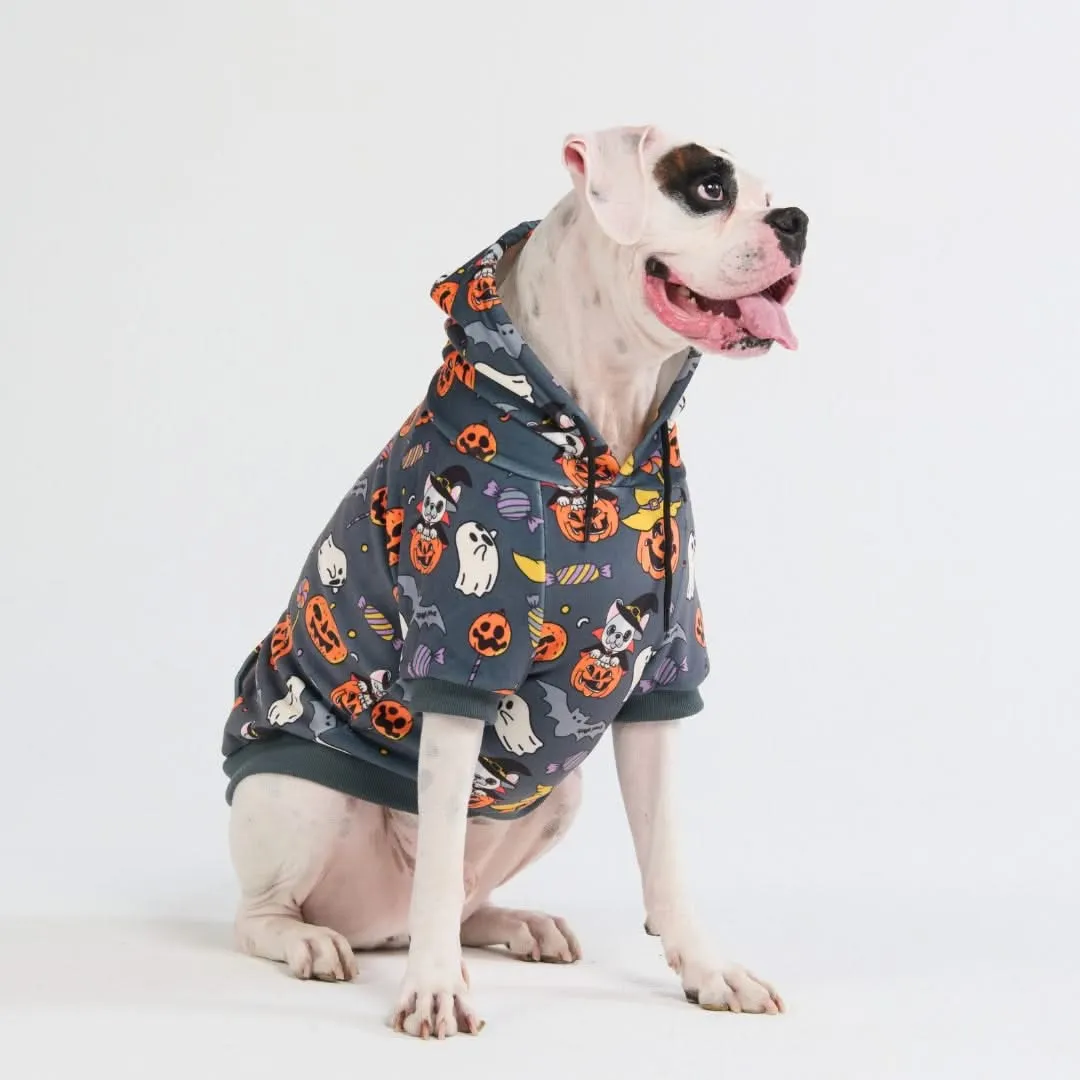 Halloween Dog Hoodies (Limited Edition)