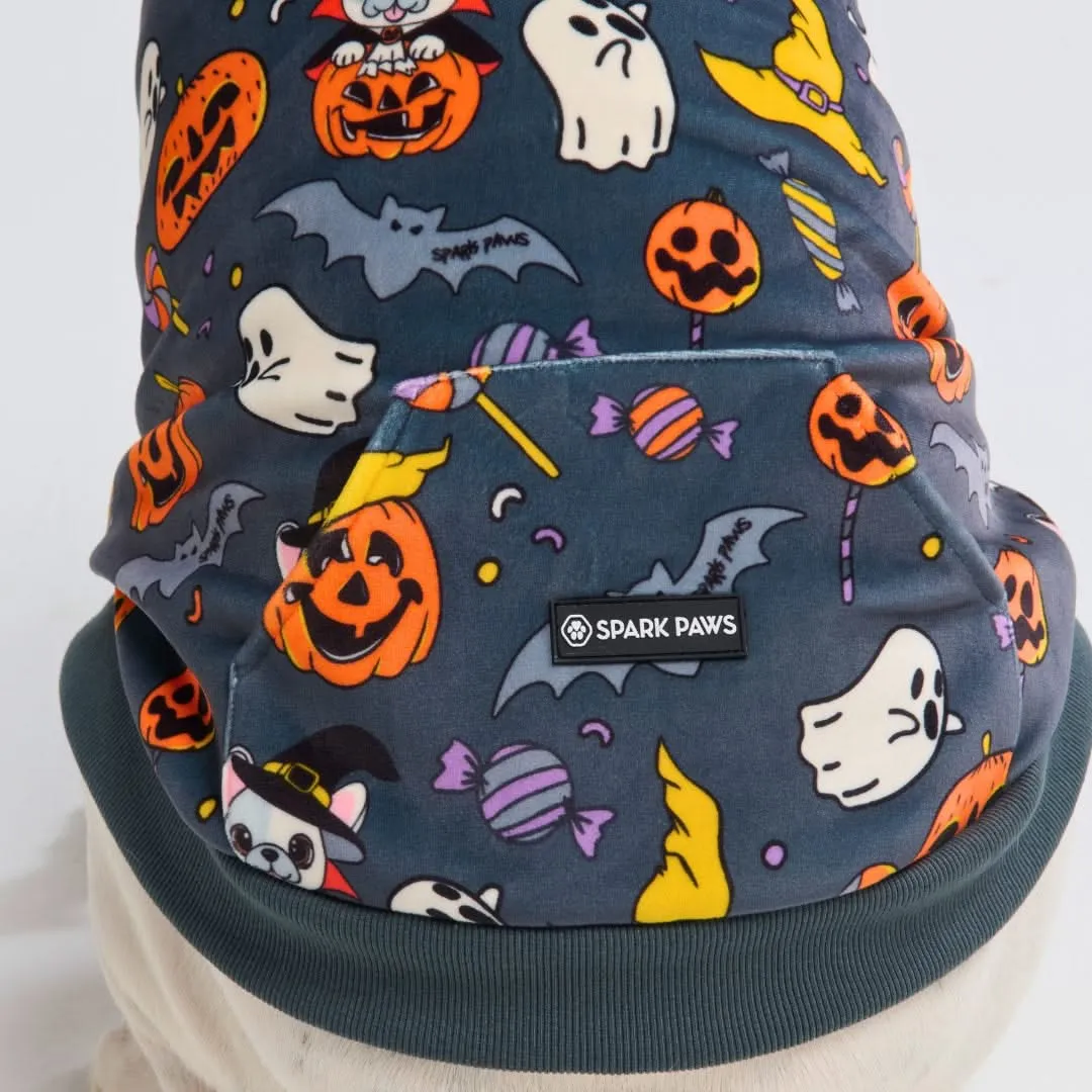 Halloween Dog Hoodies (Limited Edition)