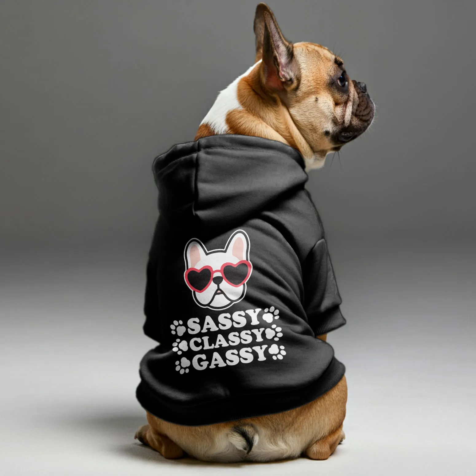 Sassy, classy, gassy - Personalized French Bulldog Hoodies with Funny Quotes – Stylish, Cozy, and Premium 100% Cotton